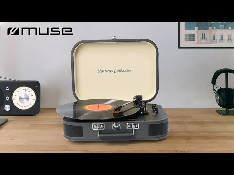 Pick-up Muse MT-201 BVB, Vintage Collection